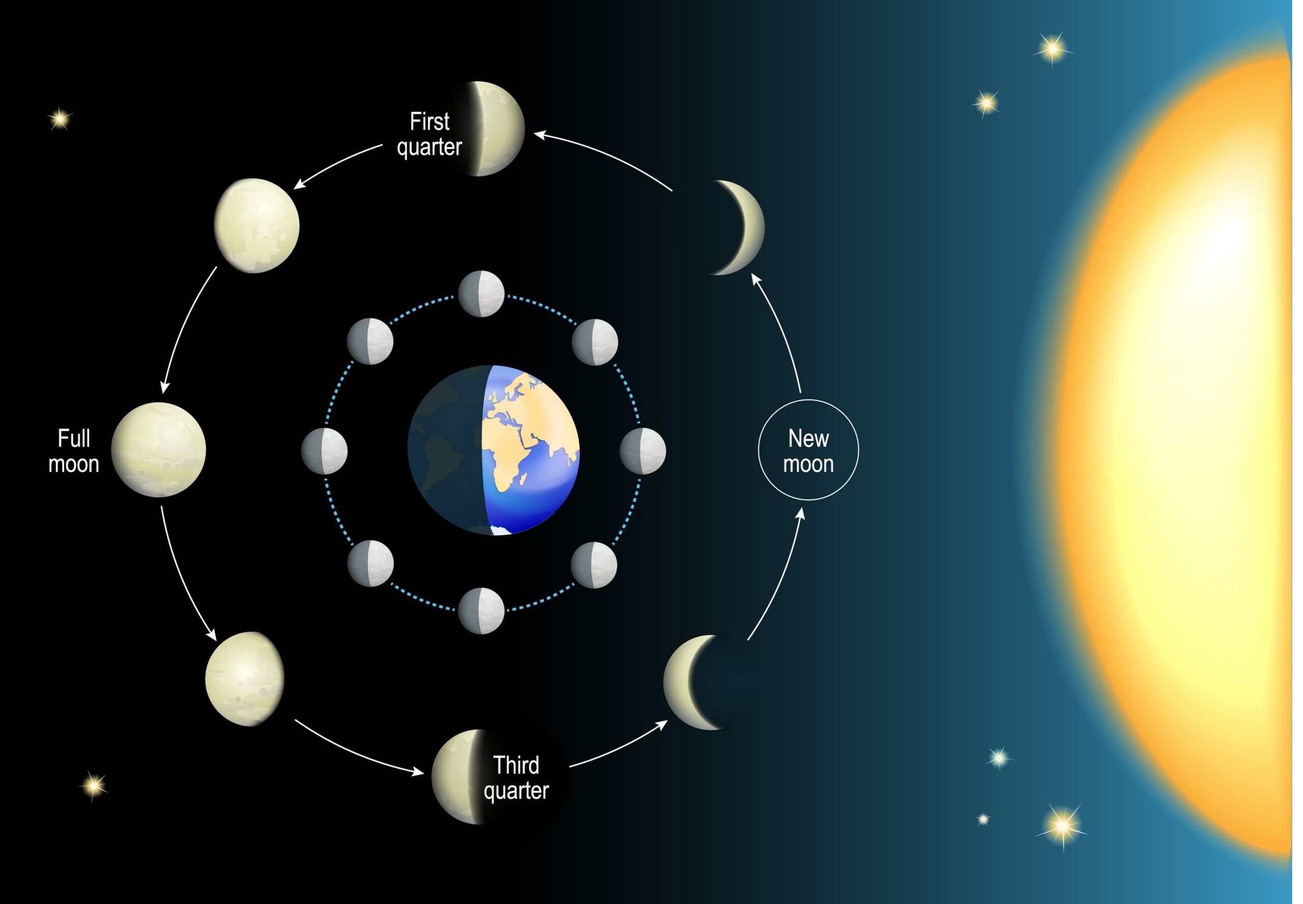 כאשר דנים במושגים אסטרונומיים מורכבים כמו המרחק של כדור הארץ מהשמש והירח עם ילדים, חשוב להפוך את המידע לנגיש ומרתק.