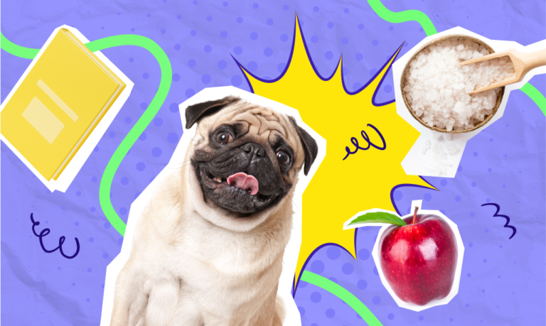 לא מה שחשבתם: מדריך לשימוש בשמות עצם ספירים (a, an, some) שיעשה לכם קצת סדר