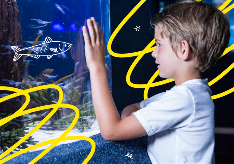 איזה אקווריום הוא הטוב ביותר בישראל? – מדריך מקיף