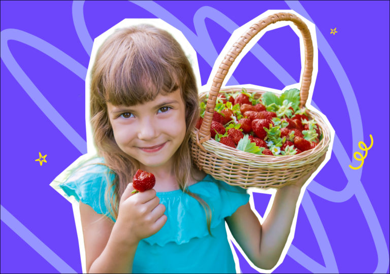 קטיף תותים בישראל | חוויה מתוקה לכל המשפחה